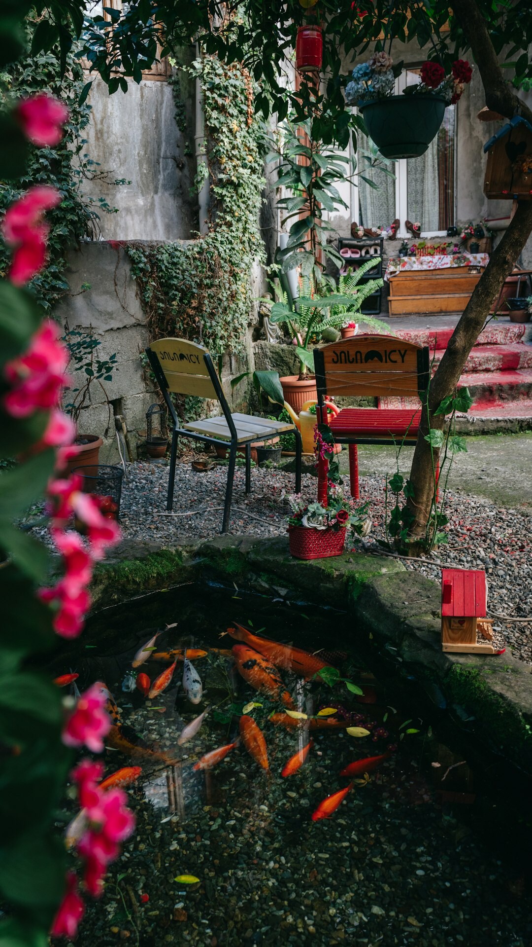 celebrity home garden view